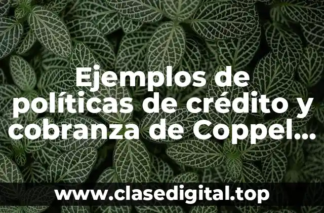 Ejemplos de políticas de crédito y cobranza de Coppel y Significado