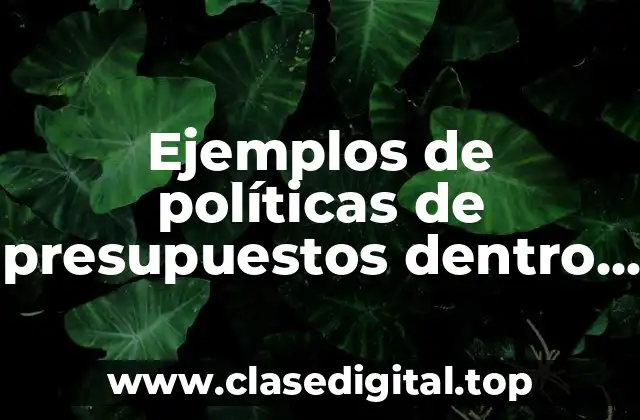Ejemplos de políticas de presupuestos dentro de una empresa petrolera