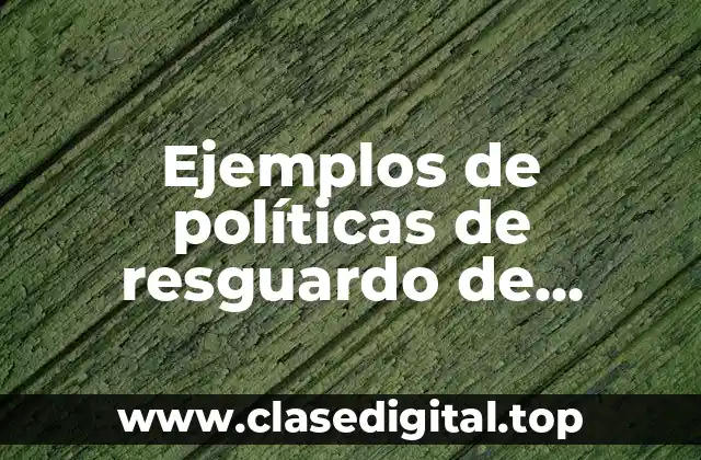 Ejemplos de políticas de resguardo de información