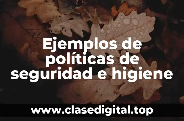 Ejemplos de políticas de seguridad e higiene