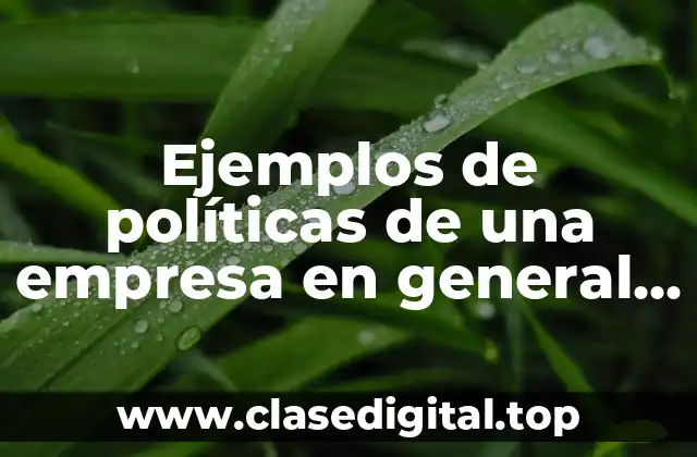 Ejemplos de políticas de una empresa en general de servicios