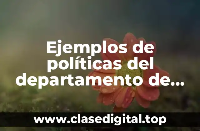 Ejemplos de políticas del departamento de mercadotecnia de una empresa y Significado