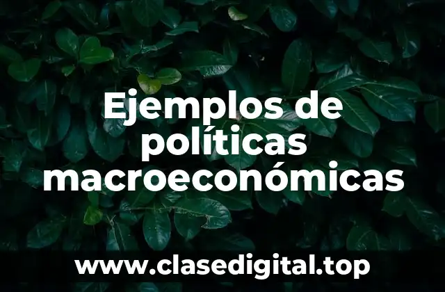 Ejemplos de políticas macroeconómicas