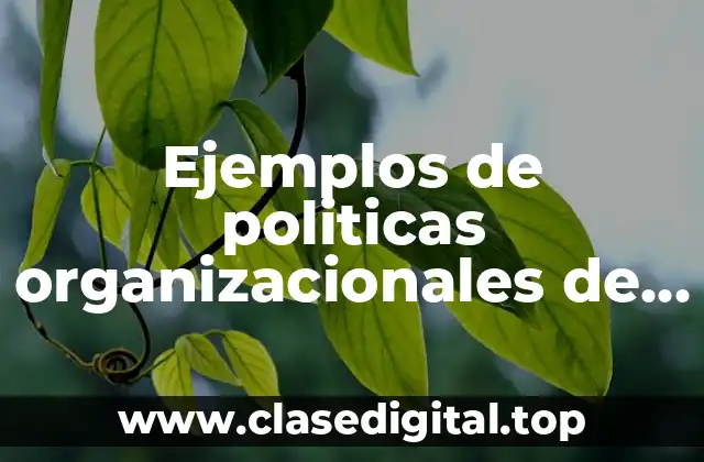 Ejemplos de políticas organizacionales de una empresa