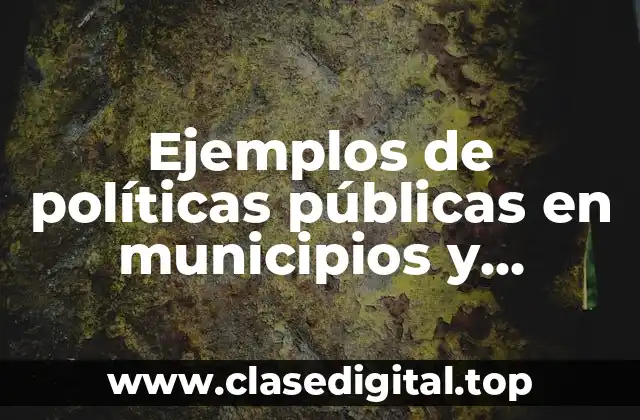 Ejemplos de políticas públicas en municipios y Significado