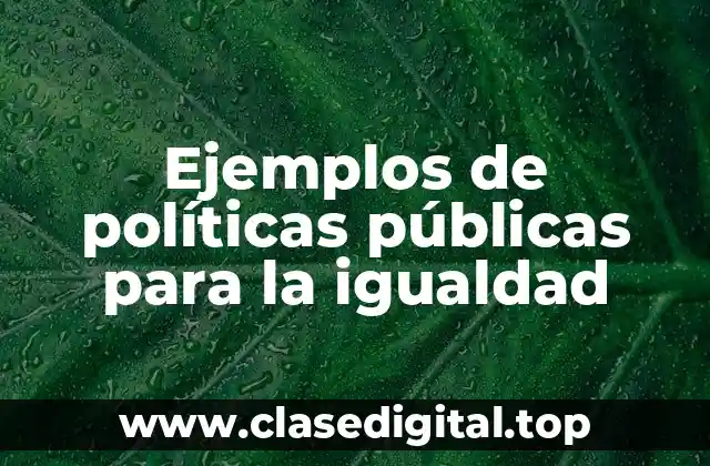 Ejemplos de políticas públicas para la igualdad