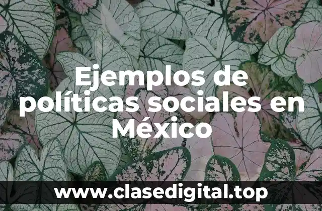 Ejemplos de políticas sociales en México