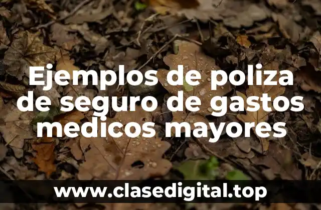 Ejemplos de poliza de seguro de gastos medicos mayores