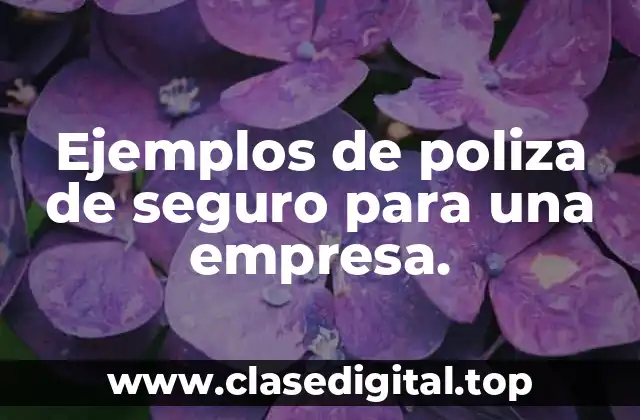 Ejemplos de poliza de seguro para una empresa.