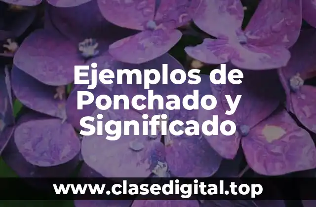 Ejemplos de Ponchado