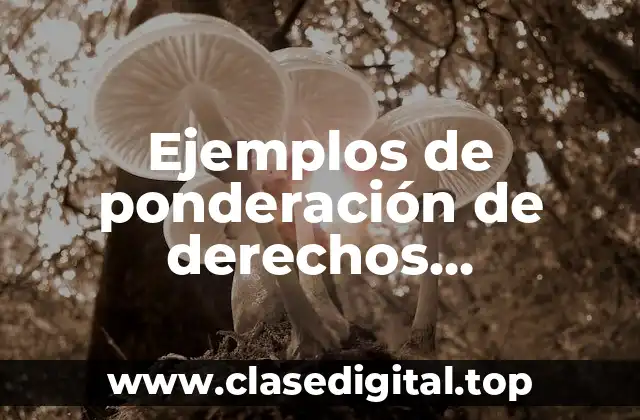 Ejemplos de ponderación de derechos fundamentales