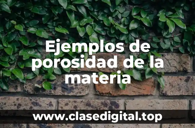 Ejemplos de porosidad de la materia