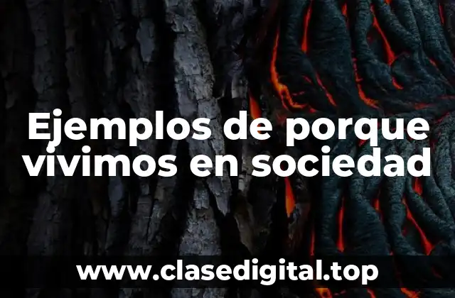 Ejemplos de porque vivimos en sociedad