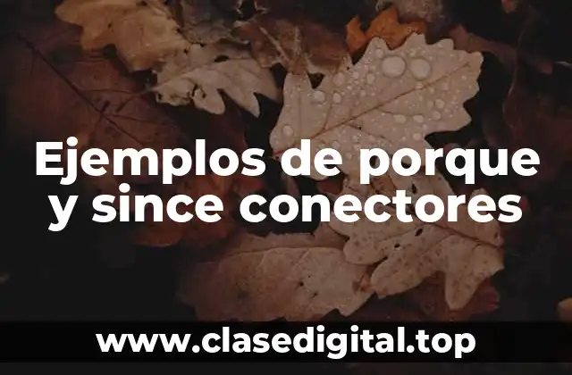 Ejemplos de porque y since conectores