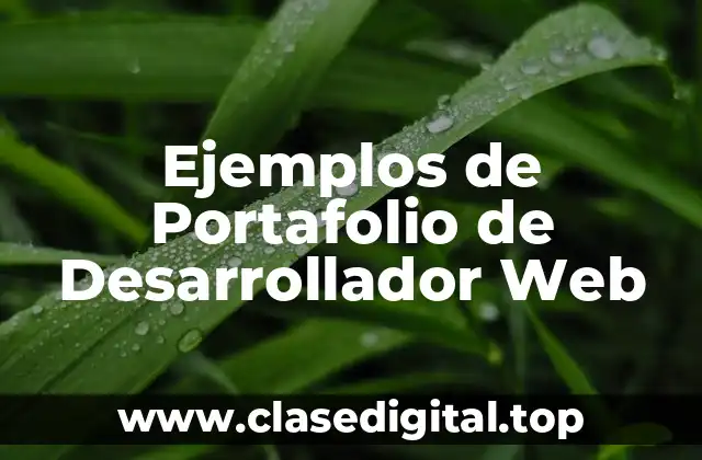 Ejemplos de Portafolio de Desarrollador Web