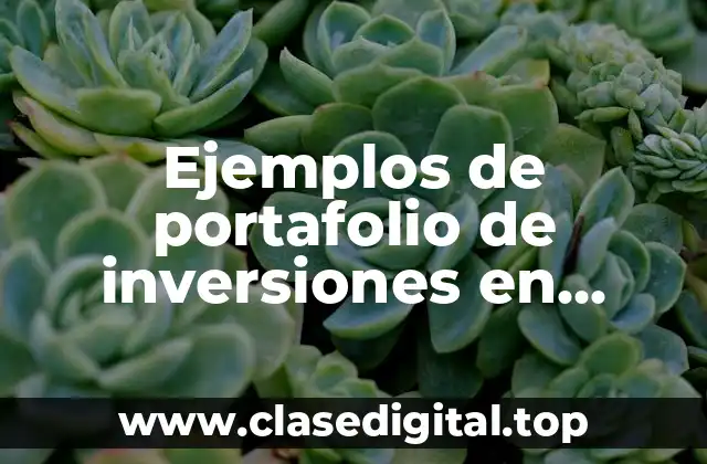 Ejemplos de portafolio de inversiones en Colombia