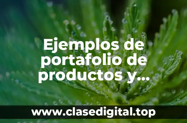 Ejemplos de portafolio de productos y servicios