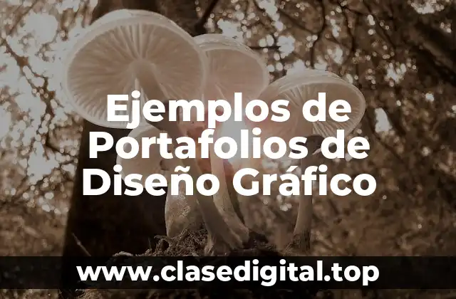 Ejemplos de Portafolios de Diseño Gráfico