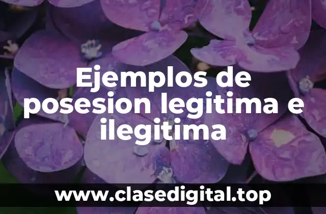 Ejemplos de posesion legitima e ilegitima