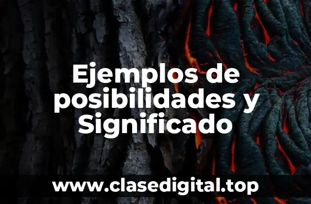 Ejemplos de posibilidades