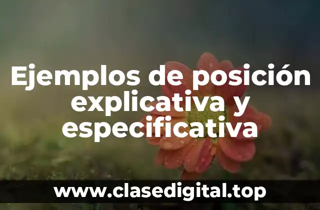 Ejemplos de posición explicativa y especificativa