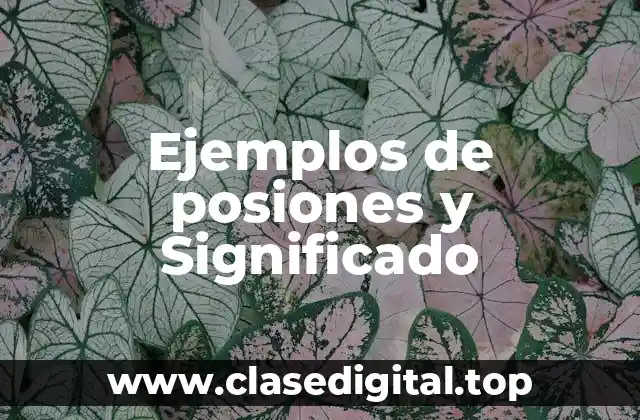 Ejemplos de posiones y Significado