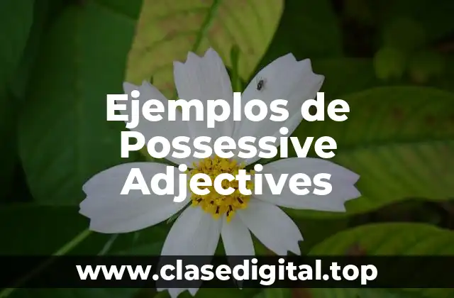 Ejemplos de Possessive Adjectives