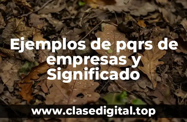 Ejemplos de pqrs de empresas y Significado