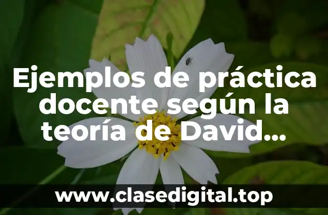 Ejemplos de práctica docente según la teoría de David Hume y Significado
