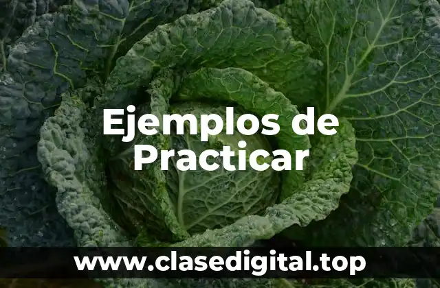 Ejemplos de Practicar