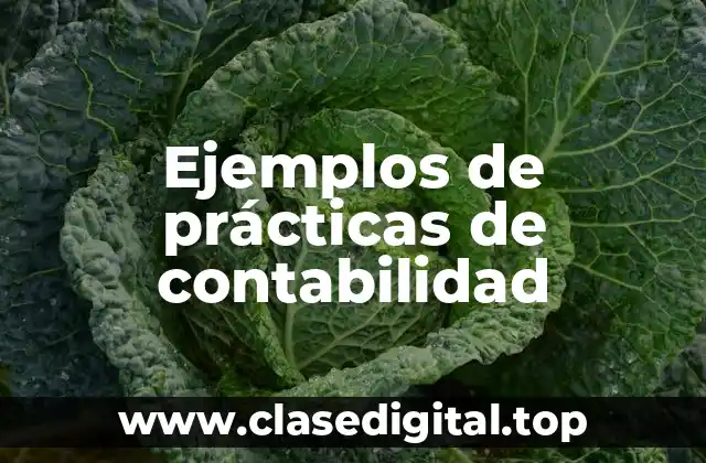 Ejemplos de prácticas de contabilidad