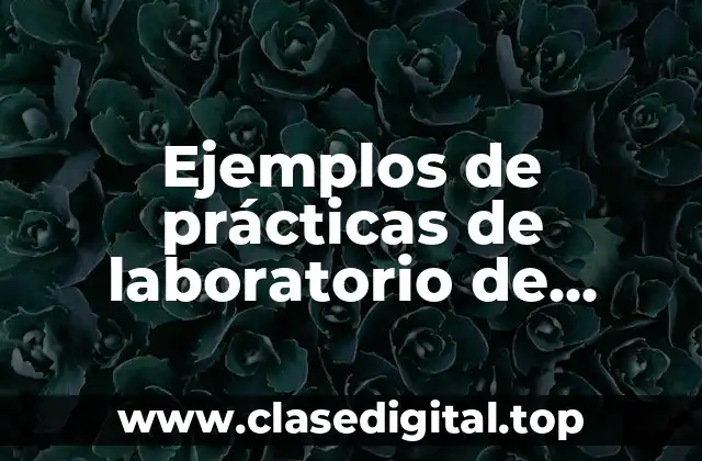 Ejemplos de prácticas de laboratorio de química