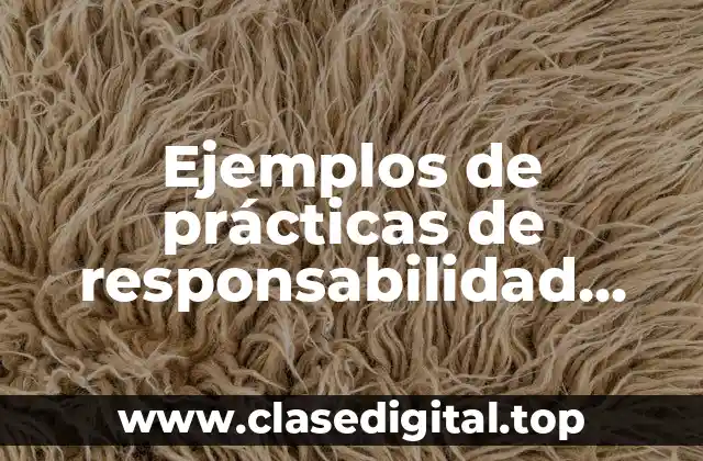 Ejemplos de prácticas de responsabilidad social empresarial y Significado