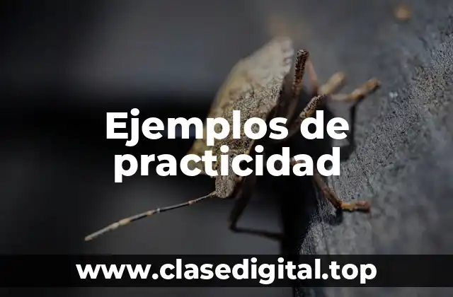 Ejemplos de practicidad