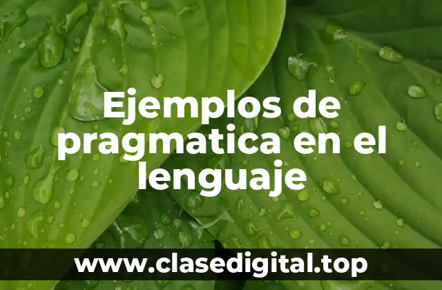 Ejemplos de pragmatica en el lenguaje