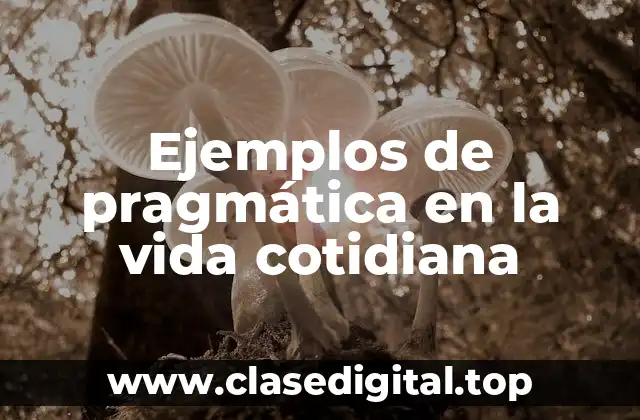 Ejemplos de pragmática
