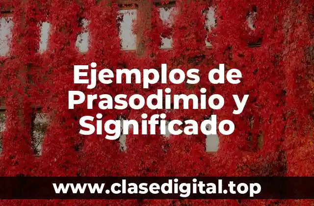 Ejemplos de Prasodimio y Significado