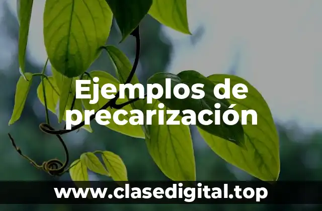 Ejemplos de precarización