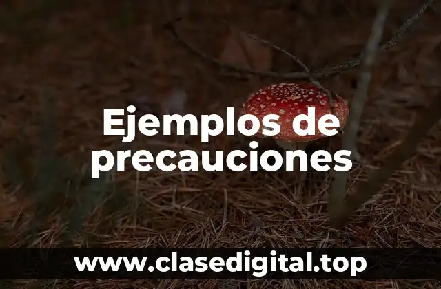 Ejemplos de precauciones