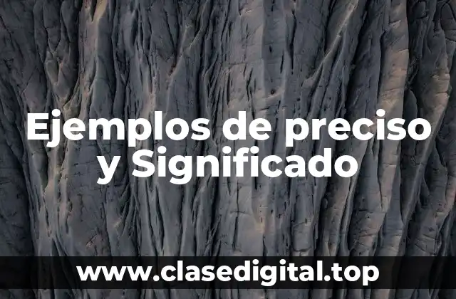 Ejemplos de preciso y Significado