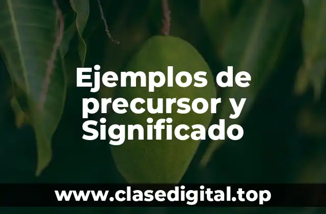 Ejemplos de precursor y Significado