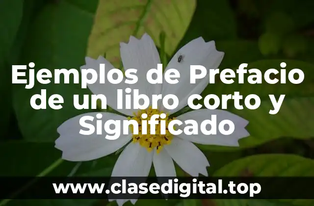 Ejemplos de Prefacio de un libro corto