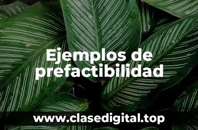 Ejemplos de prefactibilidad