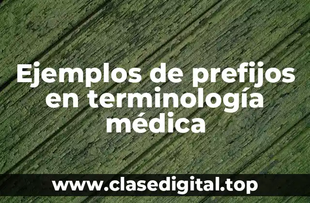 Ejemplos de prefijos en terminología médica