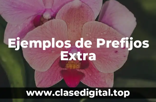 Ejemplos de Prefijos Extra