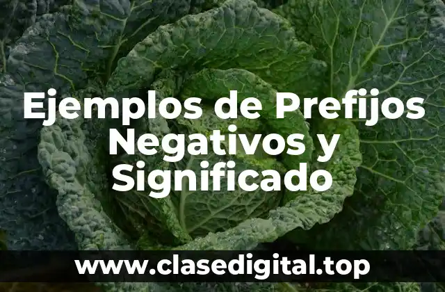 Ejemplos de Prefijos Negativos y Significado
