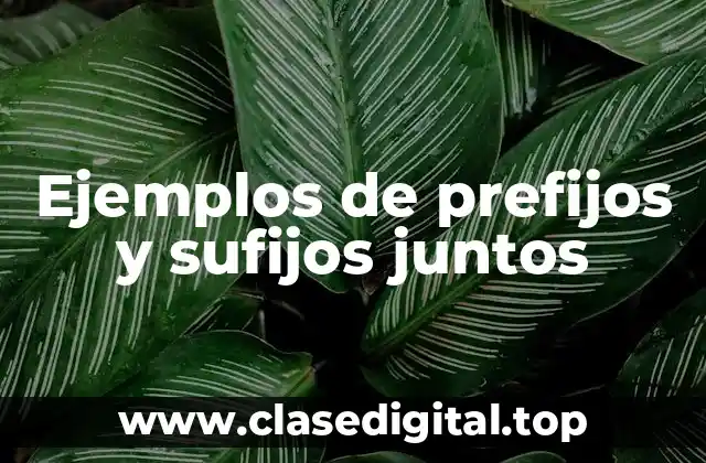 Ejemplos de prefijos y sufijos juntos