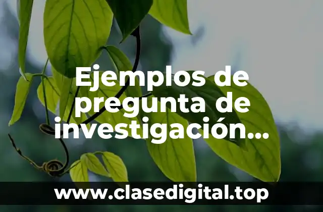 Ejemplos de pregunta de investigación cualitativa y Significado