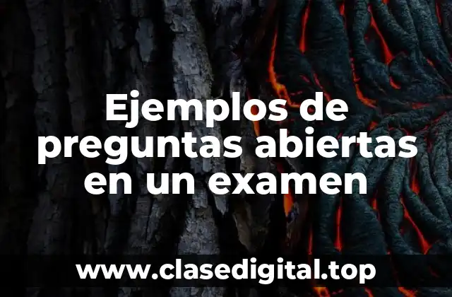 Ejemplos de preguntas abiertas en un examen