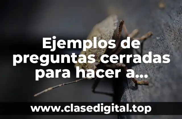 Ejemplos de preguntas cerradas para hacer a personas que trabajan